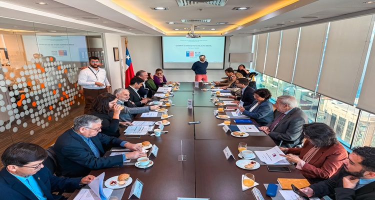 Estrategia Nacional de Minerales Críticos