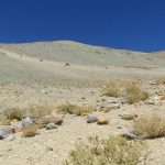 Primer Tribunal Ambiental