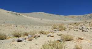 Primer Tribunal Ambiental