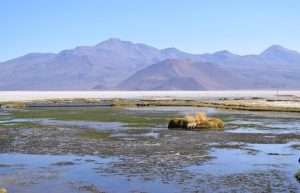 Minera El Abra