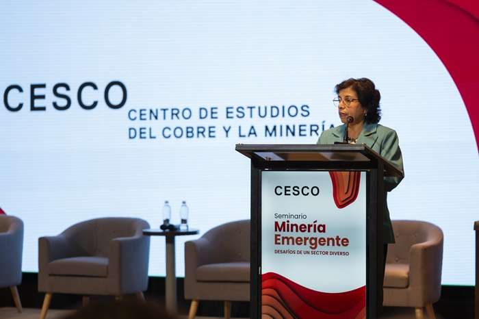 Seminario Minería Emergente