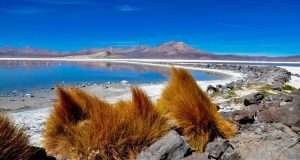 Comienza procedimiento simplificado CEOL Salar de Ollagüe