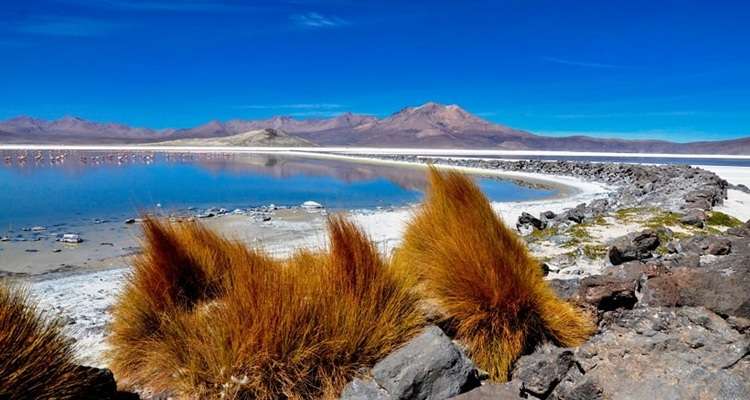 Comienza procedimiento simplificado CEOL Salar de Ollagüe