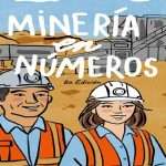 Libro Minería en Números