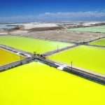 Consulta indígena confirma acuerdo Codelco-SQM