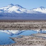Consulta indígena permite resguardar 10 salares en Atacama