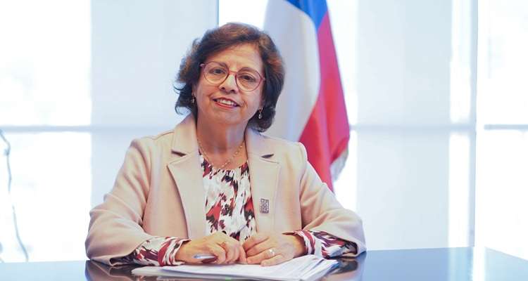 Ministra de Minería impulsa cooperación científica con Alemania en litio y geología