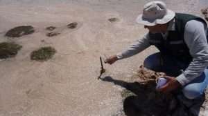 SMA multa a Albemarle por infracciones ambientales en el Salar de Atacama