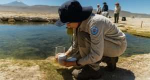 Tribunal Ambiental revisa avances en conciliación por daño ambiental de Minera Escondida en Salar Punta Negra