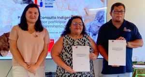 Estrategia Nacional del Litio