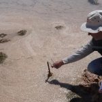 Tribunal Ambiental admite reclamación de Albemarle contra la SMA