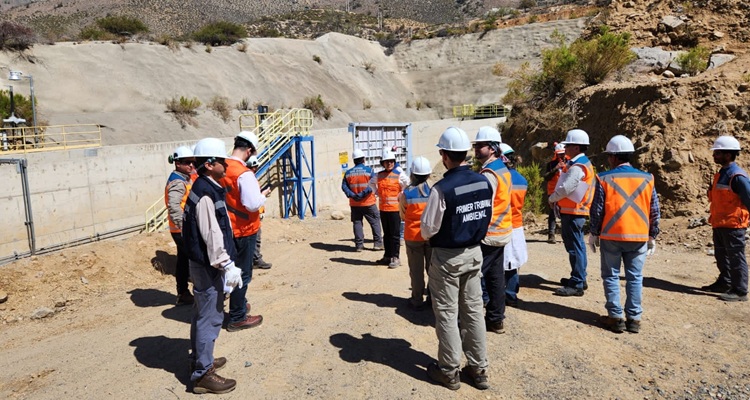 Minera Los Pelambres