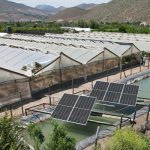 Minera Los Pelambres