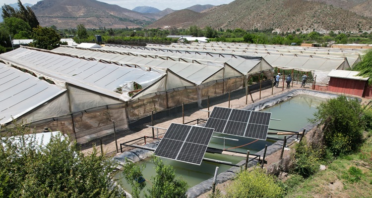 Minera Los Pelambres