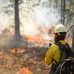 SEA suspende evaluación ambiental de tierras raras en Biobío por incendios forestales