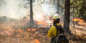 SEA suspende evaluación ambiental de tierras raras