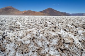 Contraloría aprueba primer contrato CEOL