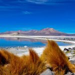 Corte Suprema descarta ilegalidad en exploración minera en Salar de Lari