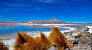 Corte Suprema descarta ilegalidad en exploración minera en Salar de Lari