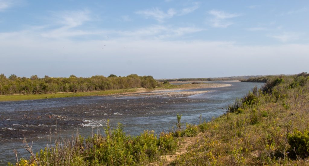 Minera Los Pelambres lidera gestión hídrica