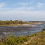 Minera Los Pelambres lidera gestión hídrica