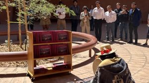 Proyecto Salares Altoandinos