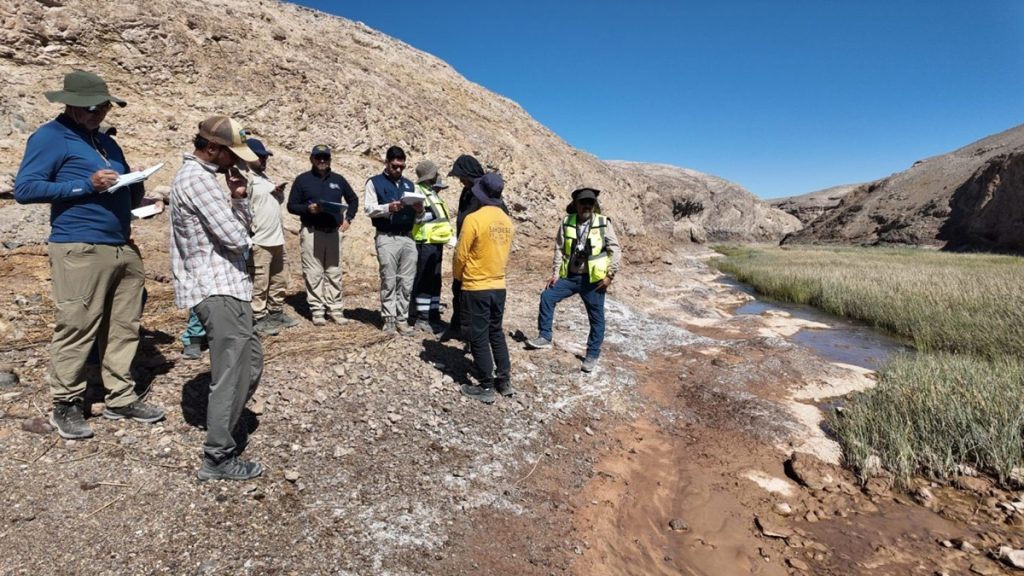 Tribunal Ambiental inspecciona humedal