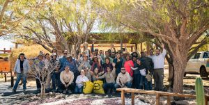 Lomas Bayas lidera cosecha récord de algarrobo junto a agricultores de Calama