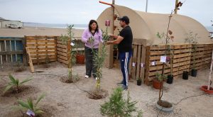 Minera El Abra fortalece recuperación sustentable en caleta de Tocopilla con áreas verdes y energía solar