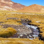 Primer Tribunal Ambiental revisará proyecto de exploración minera en San Pedro de Atacama