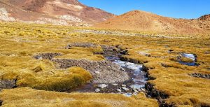 Primer Tribunal Ambiental revisará proyecto de exploración minera en San Pedro de Atacama