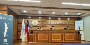 Proyecto minero Playa Verde en Chañaral enfrenta alegatos en Tribunal Ambiental