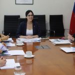 Comité de Ministros mantiene RCA favorable para proyecto de Ministro Hales