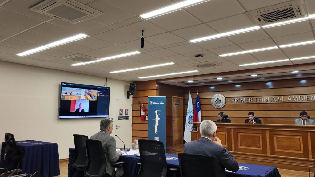 Primer Tribunal Ambiental revisa reclamación contra proyecto minero La Farola