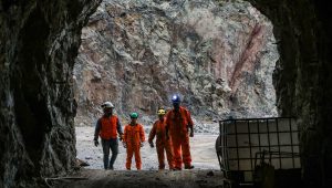 SONAMI pide suspender remates de pertenencias mineras mientras avanza reforma legal