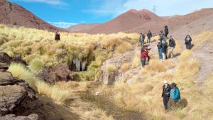 Primer Tribunal revisa avances tras derrame de hidrocarburos en faena minera ocurrido en 2017