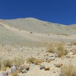 Prospección Minera Campanario: observantes impugnan RCA favorable ante el Primer Tribunal Ambiental